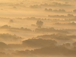 IMG_1487